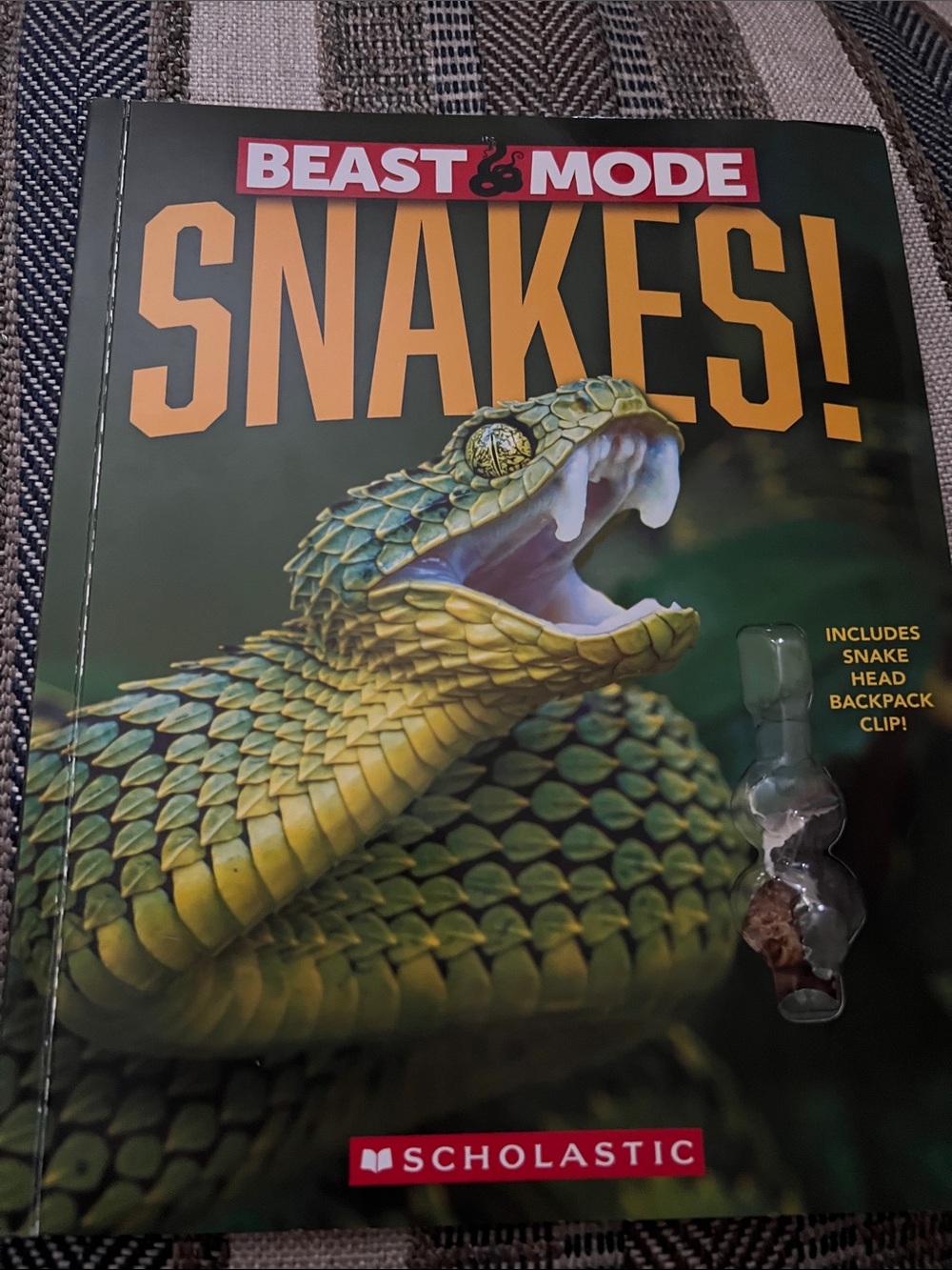 Scholastic BEAST MODE Snakes! - Green and Yellow Cover